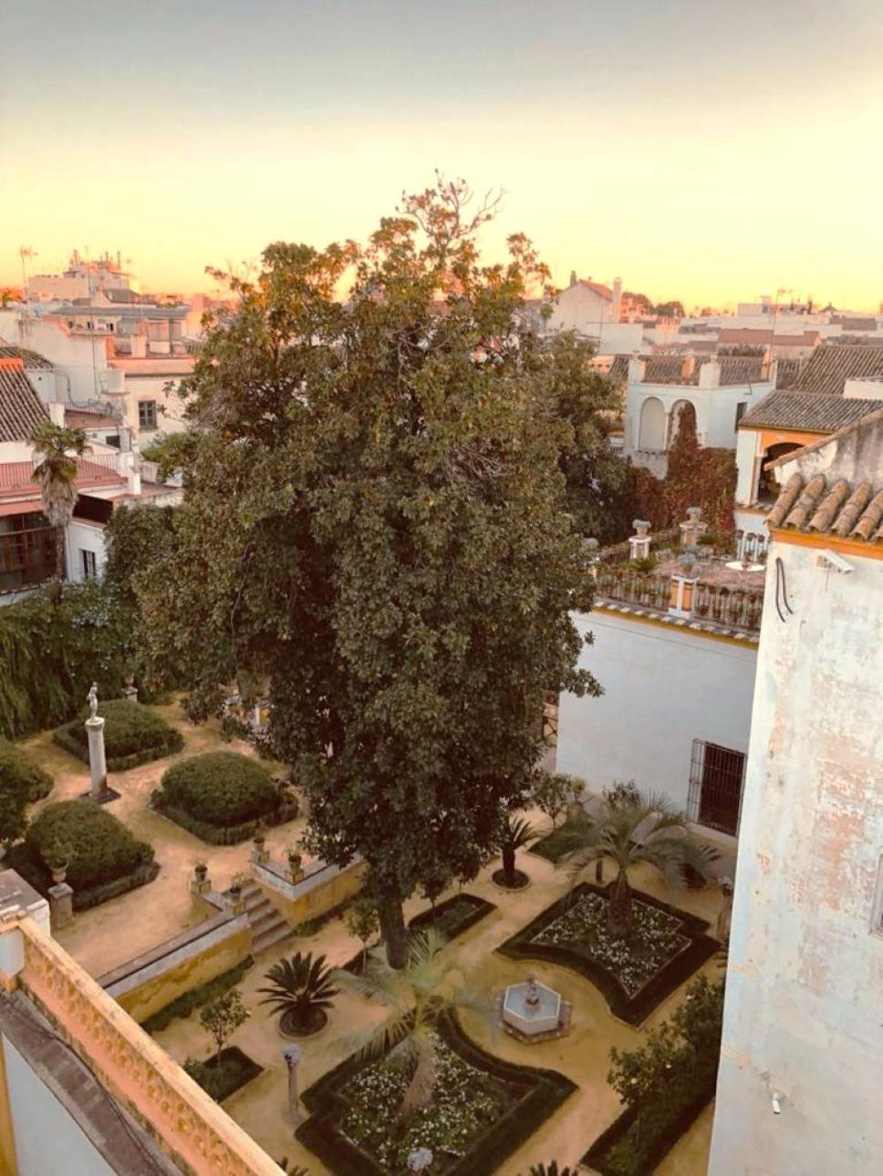 Atico Caleria Con Vistas A La Giralda Séville